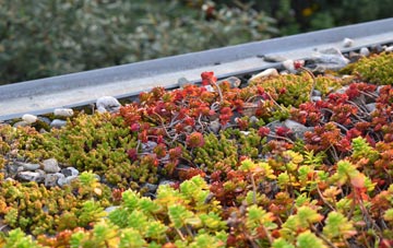 the cost of Edmondstown green roof installation