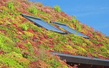 Edmondstown living roof systems